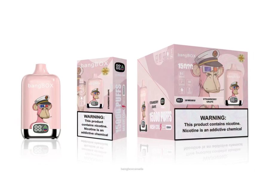 Bang Box Canada - Bang Box 15000 Puffs Strawberry Grape B2VHZP44