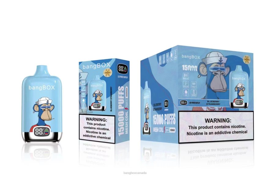 Bang Box Vape Price - Bang Box 15000 Puffs Blueberry Strawberry B2VHZP38