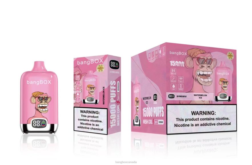 Bang Box Vape Review - Bang Box 15000 Puffs Watermelon Ice B2VHZP45
