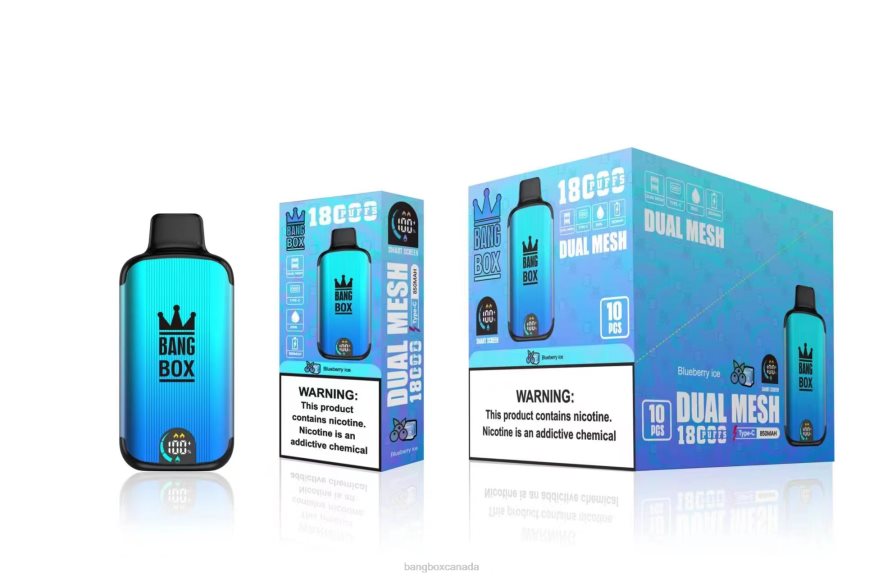 Bang Box Vape Price - Bang Box 18000 puffs Blueberry Ice B2VHZP90