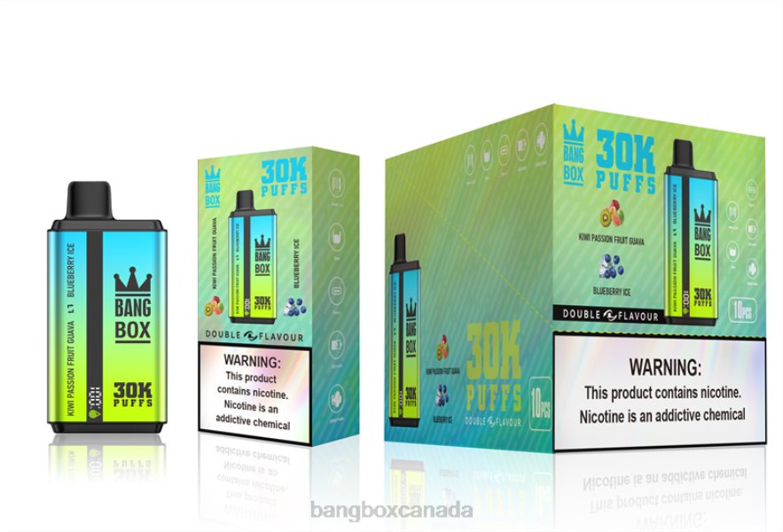 Bang Box Vape Review - Bang Box 30000 Puffs Dual Flavors Kiwi Passion Fruit Guava & Blueberry Ice B2VHZP65